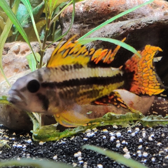 Bundle 3 to save 30%, Welcome to my closet! - Picture 3 of 5